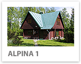 Alpina 1
