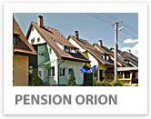 Orion